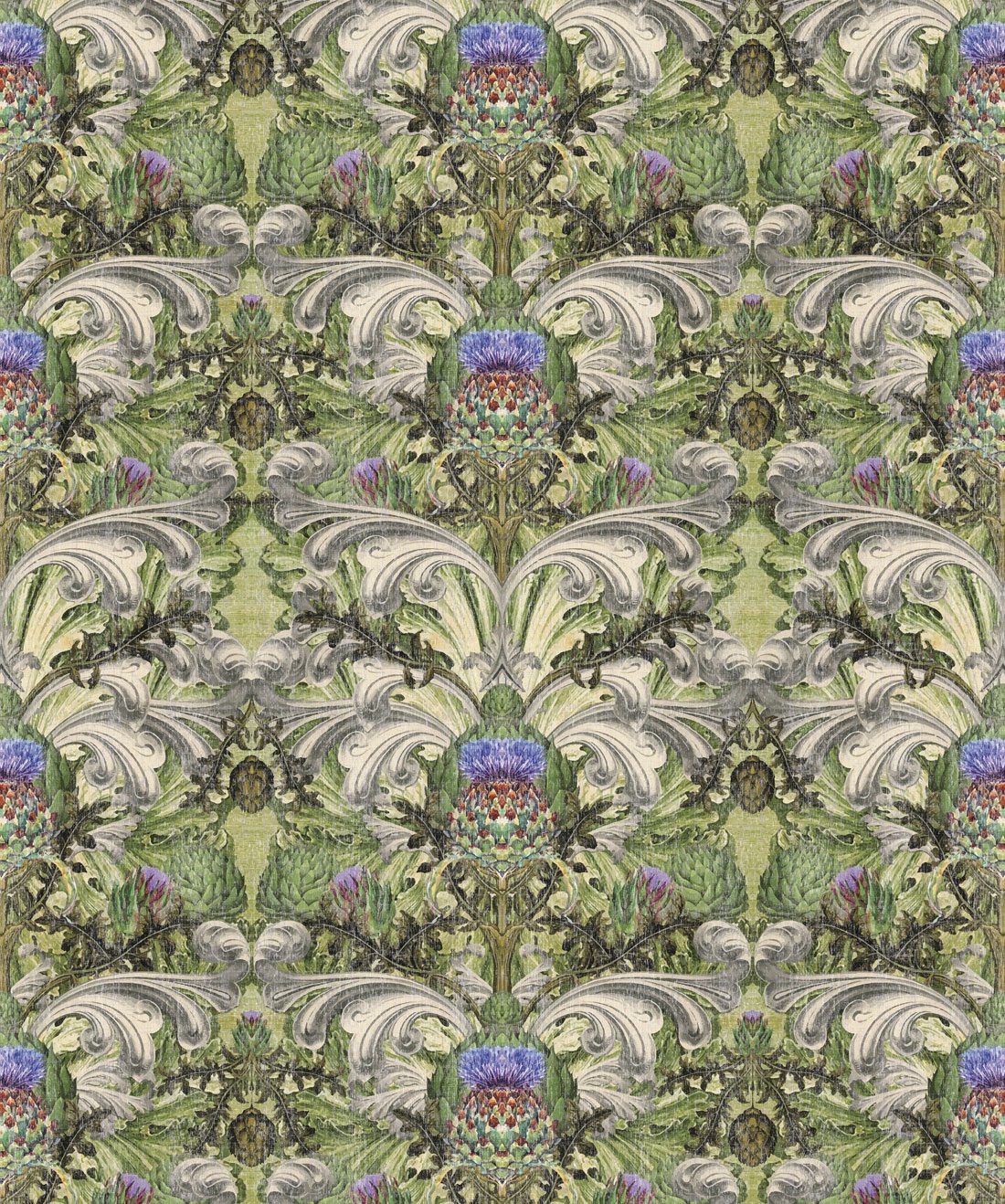 Thistle - HD Wallpaper 