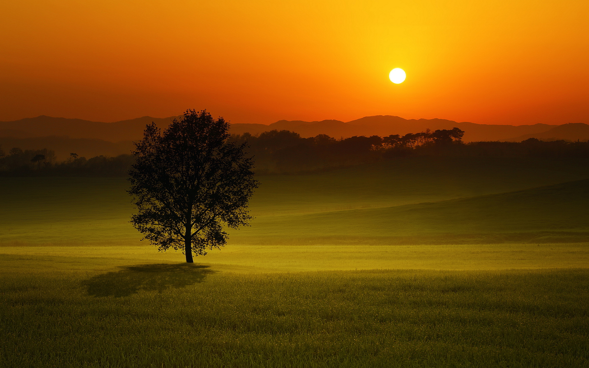 Evening Sunset Hd - HD Wallpaper 