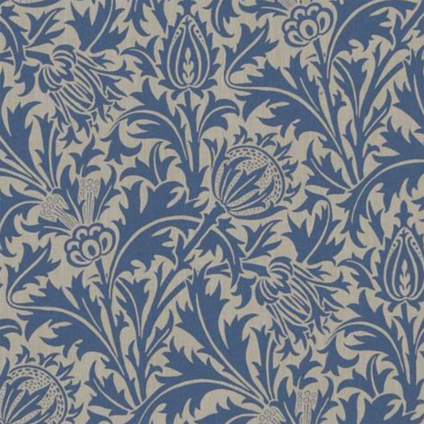Thistle Dmowth102 Linen/indigo Wallpaper By Morris - John Blek Thistle And Thorn - HD Wallpaper 