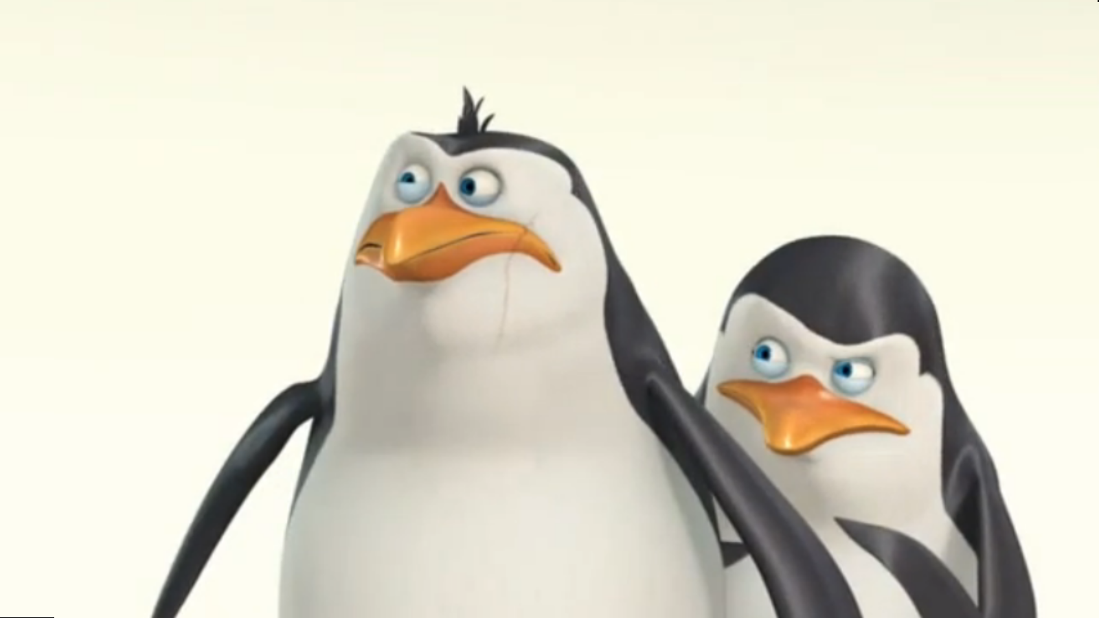 The Penguins Of Madagascar Mc - Adã©lie Penguin - HD Wallpaper 