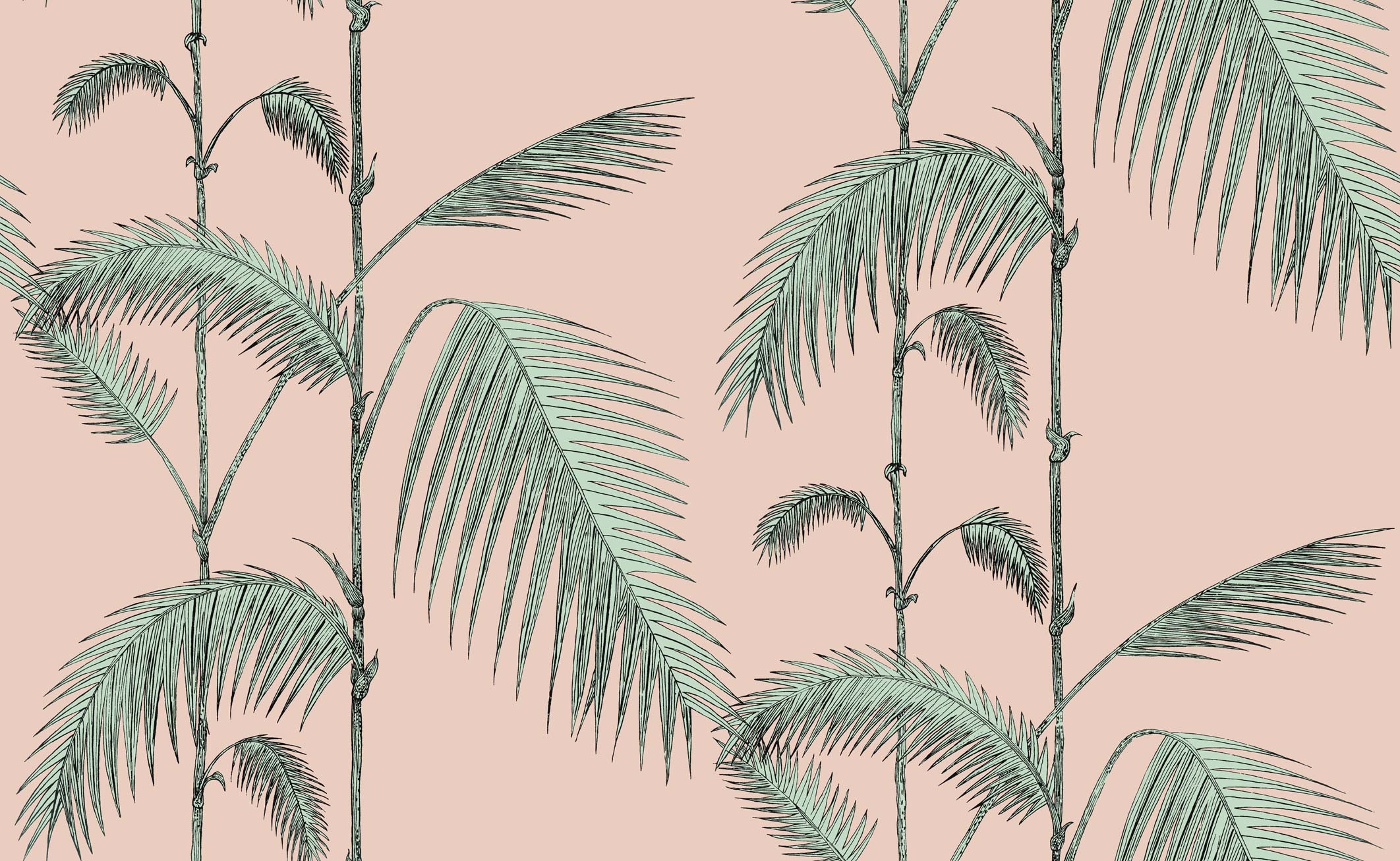 Palm Leaves Wallpaper - Cole And Son Icons Palm Leaves - HD Wallpaper 