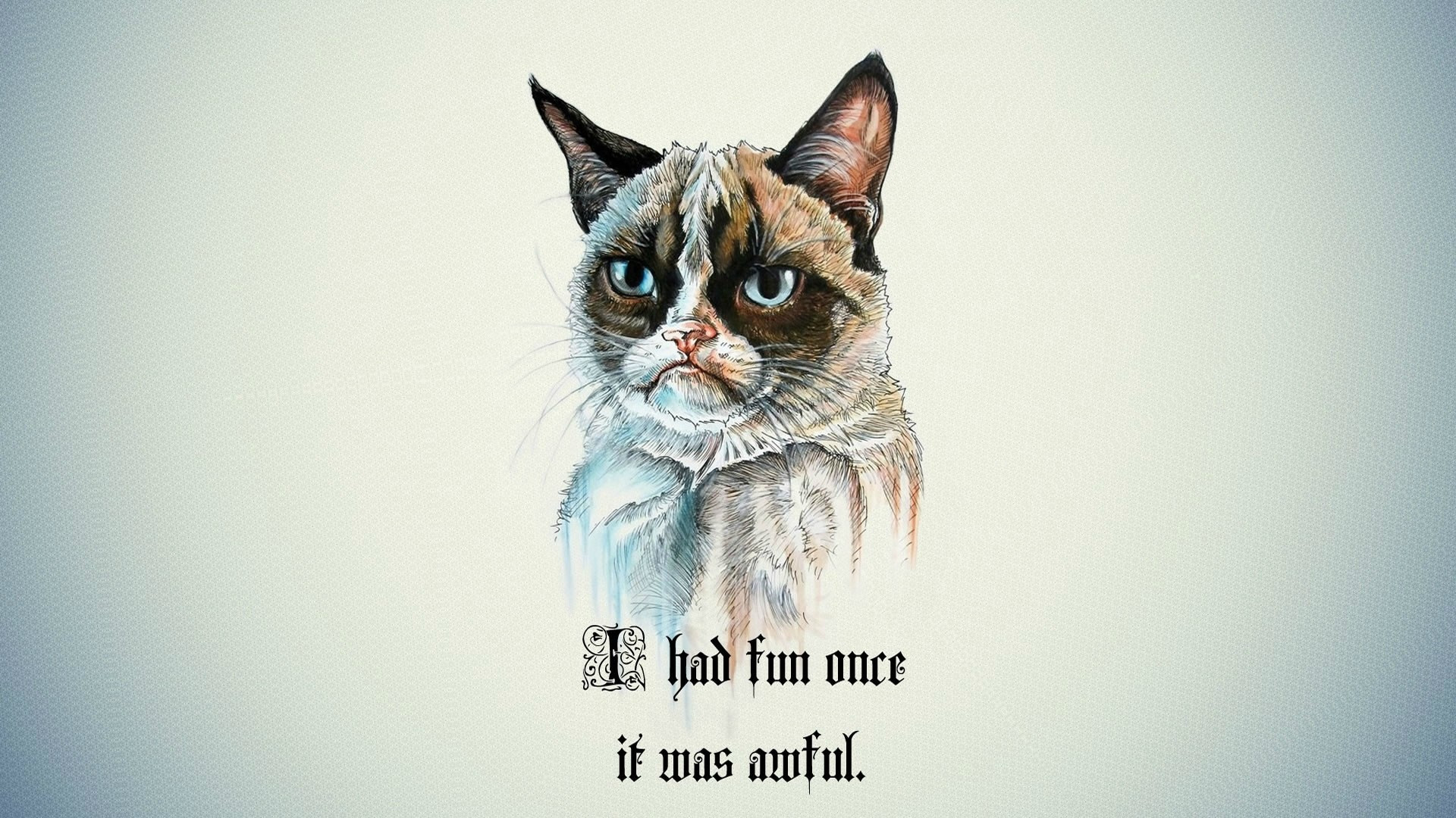 Funny / Quirky Wallpapers 
 Data-src - Grumpy Cat Meme Art - HD Wallpaper 