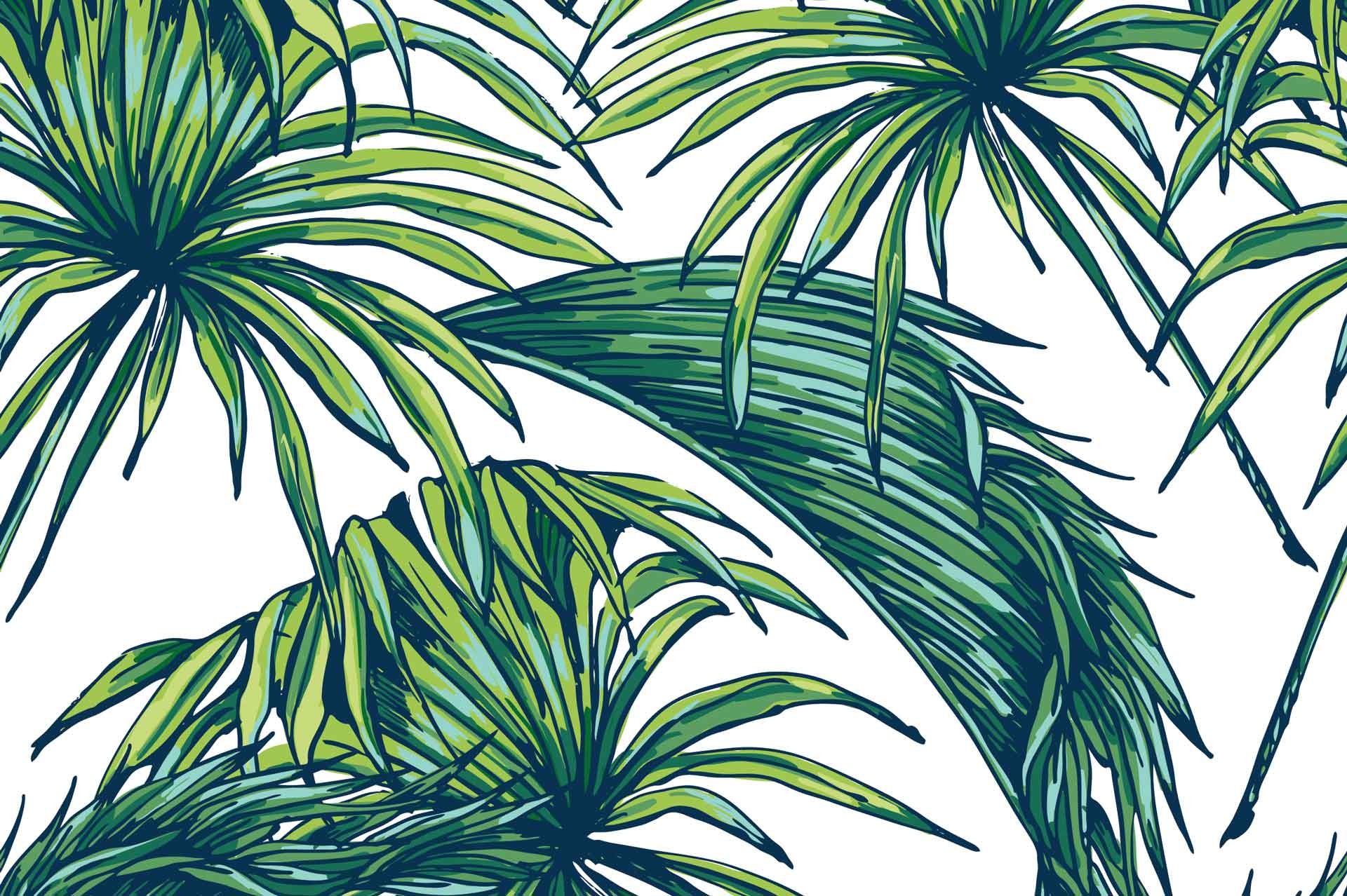 Palm Leaves Wallpaper 
 Data Src Amazing Palm Leaves - Palm Leaves Wallpaper Hd - HD Wallpaper 