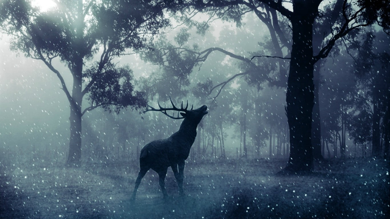 Fantasy Forest With Deer - HD Wallpaper 