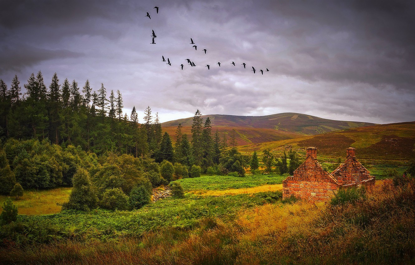 Photo Wallpaper Autumn, Landscape, Scotland - Autumn Scotland - HD Wallpaper 