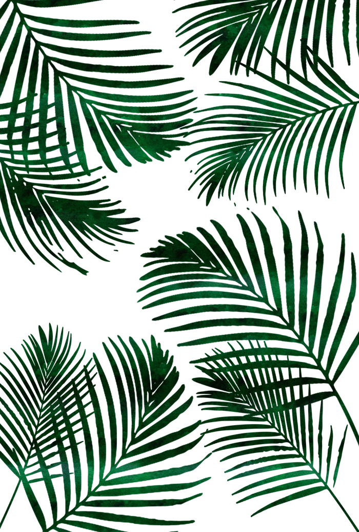 Tropical Palm Leaves Png - HD Wallpaper 