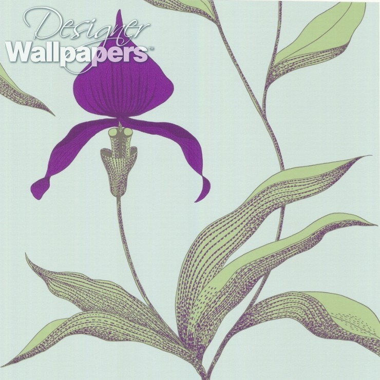 Orchid - Cole & Son Orchid - HD Wallpaper 