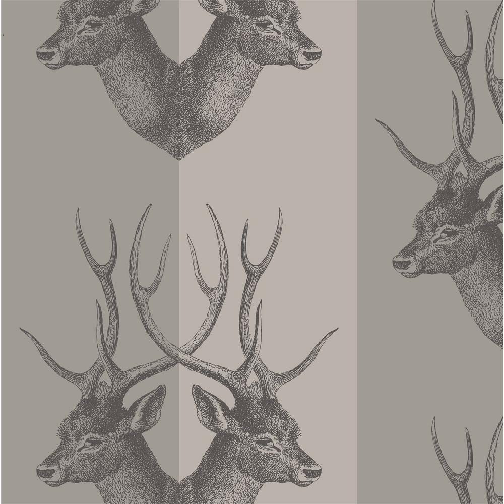 Mitchell Black - HD Wallpaper 