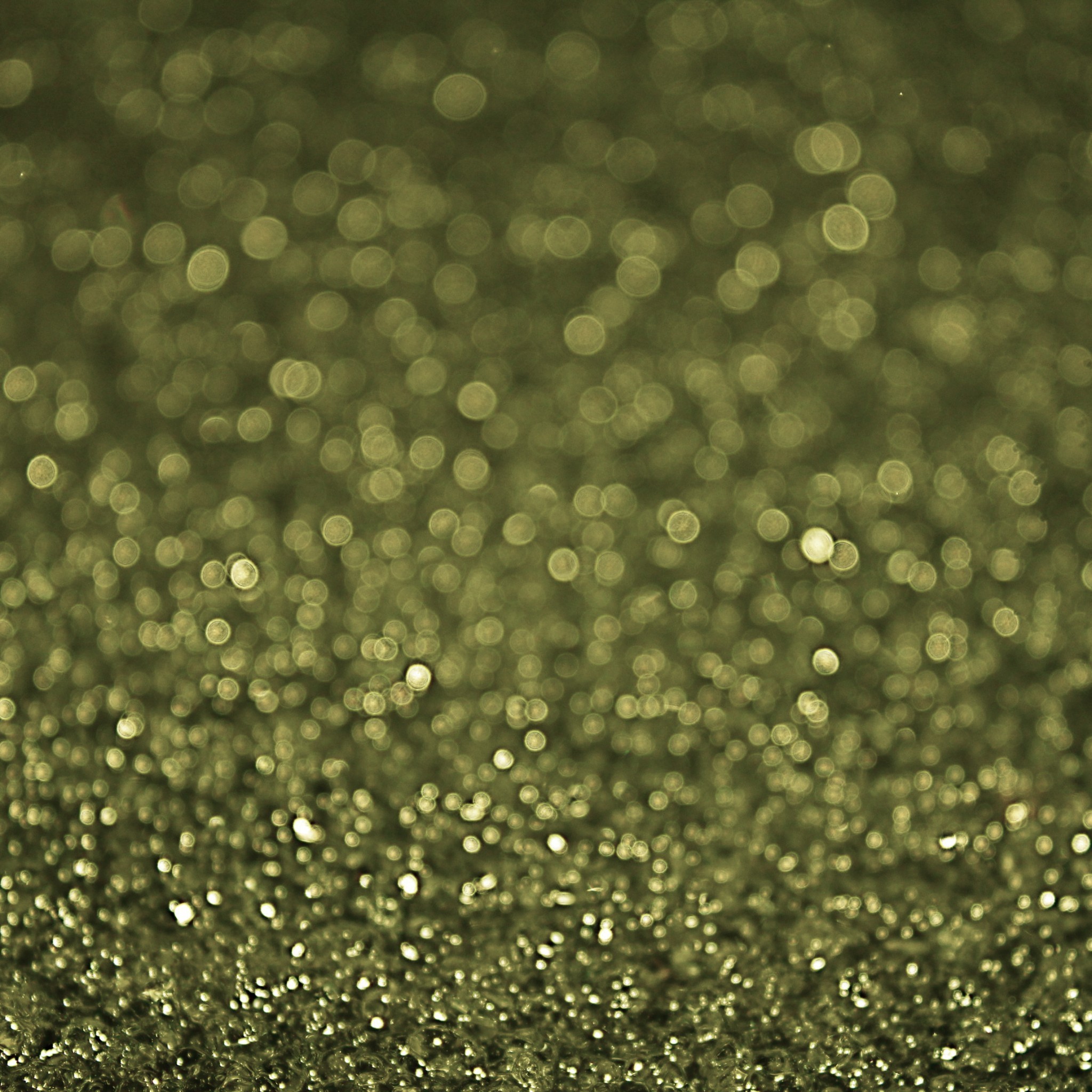Golden Olive Glitter - Military Green Glitter Background - HD Wallpaper 