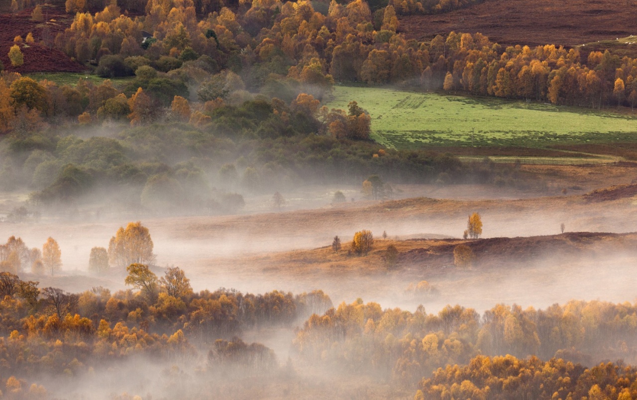 Scottish Misty Morning Wallpapers - Autumn Wallpaper Scotland - HD Wallpaper 