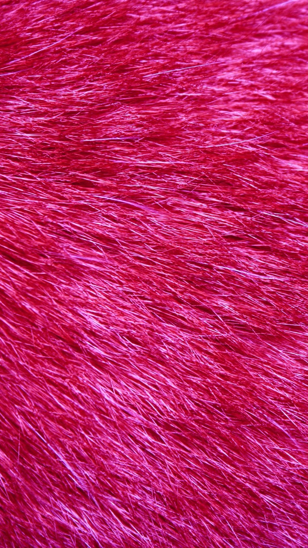 1080x1920, Pink Fluffy - Black Bear Fur Up Close - HD Wallpaper 