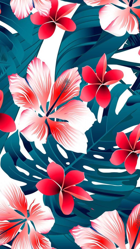 Tropical Flower - HD Wallpaper 