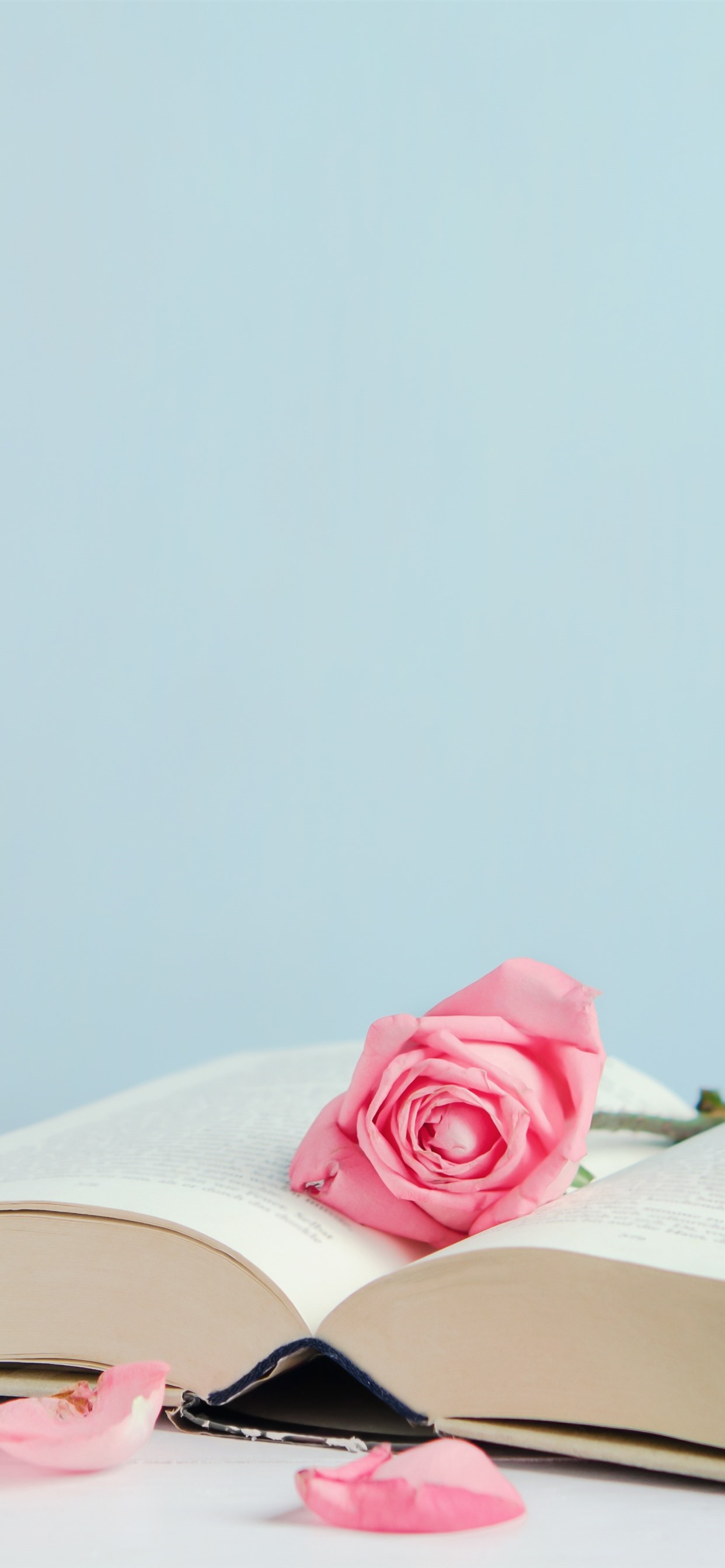 Iphone Wallpaper Book And Pink Roses, Petals - Rose Gold Iphone Xs -  1242x2688 Wallpaper 