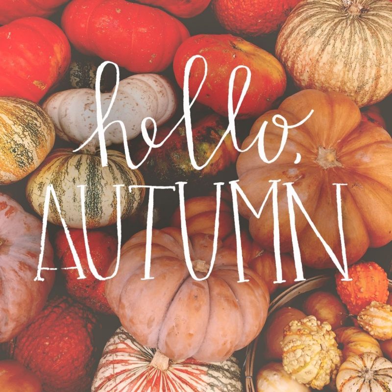 Autumn, Fall, And Pumpkin Image - Cute Computer Backgrounds Fall - HD Wallpaper 