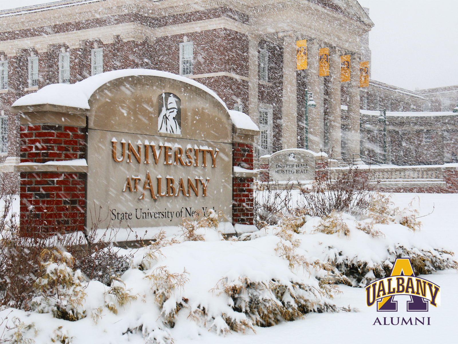 University At Albany Snow - HD Wallpaper 
