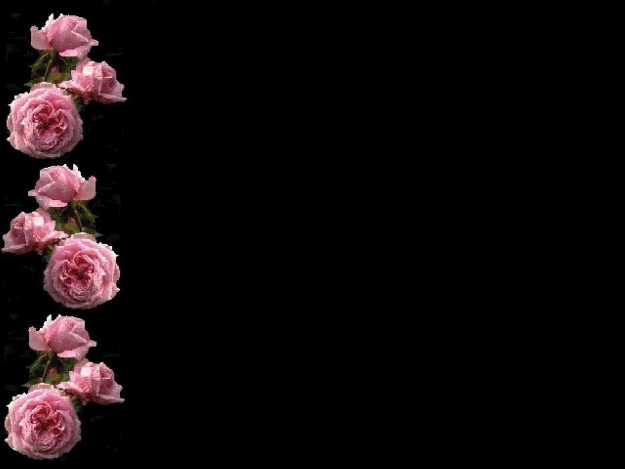 Pink Rose Wallpaper Border 3 Desktop Background - Black Background With Flower Border - 1280x960 Wallpaper Pink Rose Wallpaper Border 3 Desktop Background - Black Background With Flower Border - 1280x960 Wallpaper