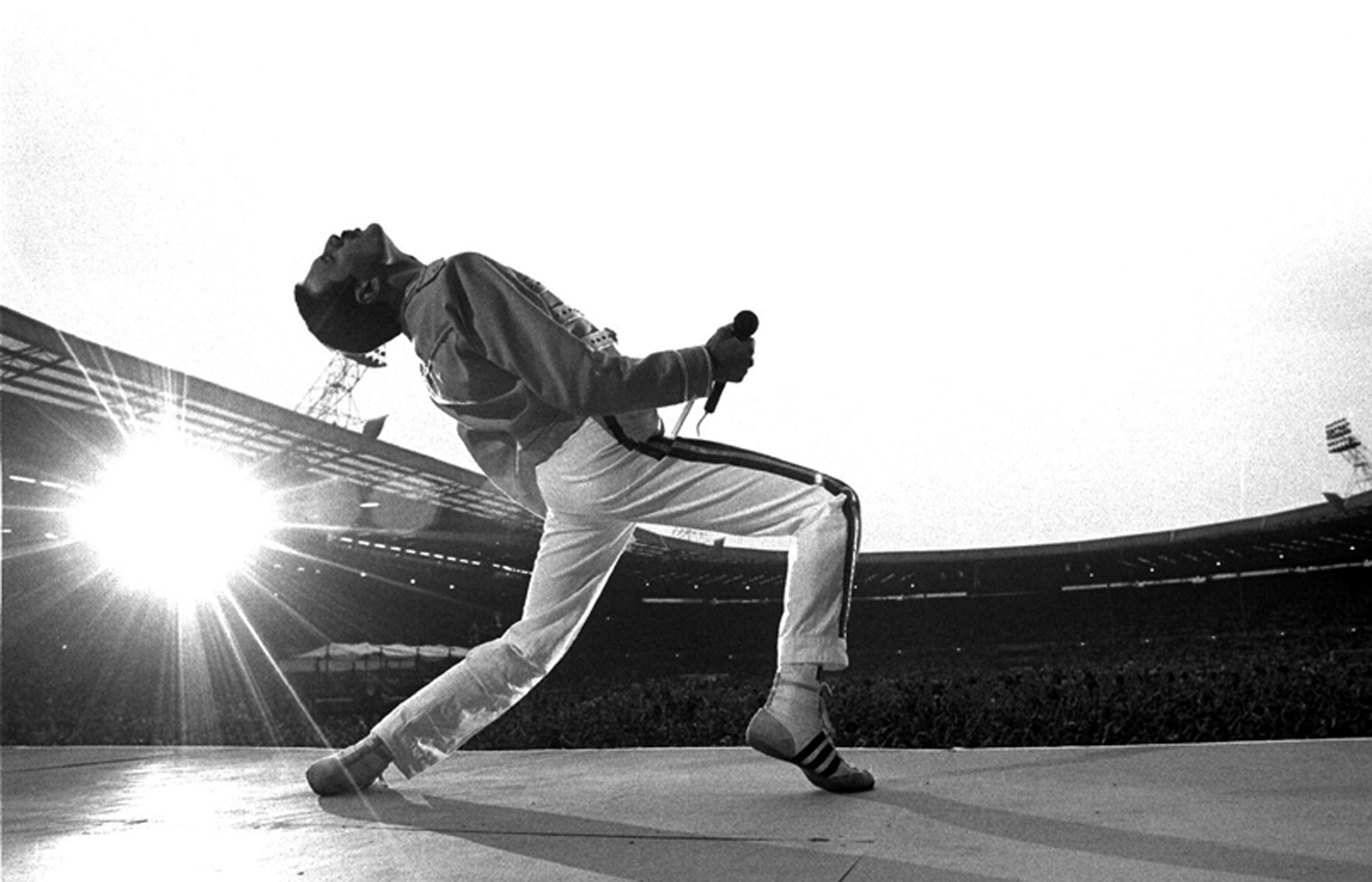 Freddie Mercury Wallpapers Download - HD Wallpaper 
