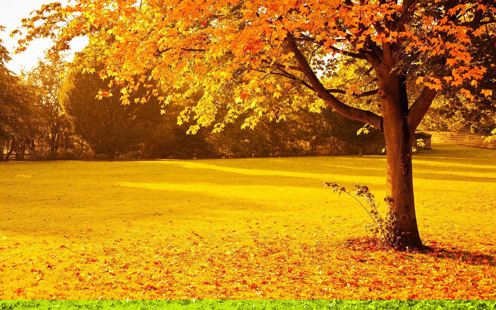 1920x1200, Fall Desktop Wallpaper 
 Data Id 138899 - HD Wallpaper 