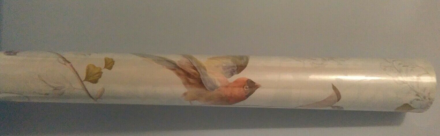 Pigeons And Doves - HD Wallpaper 