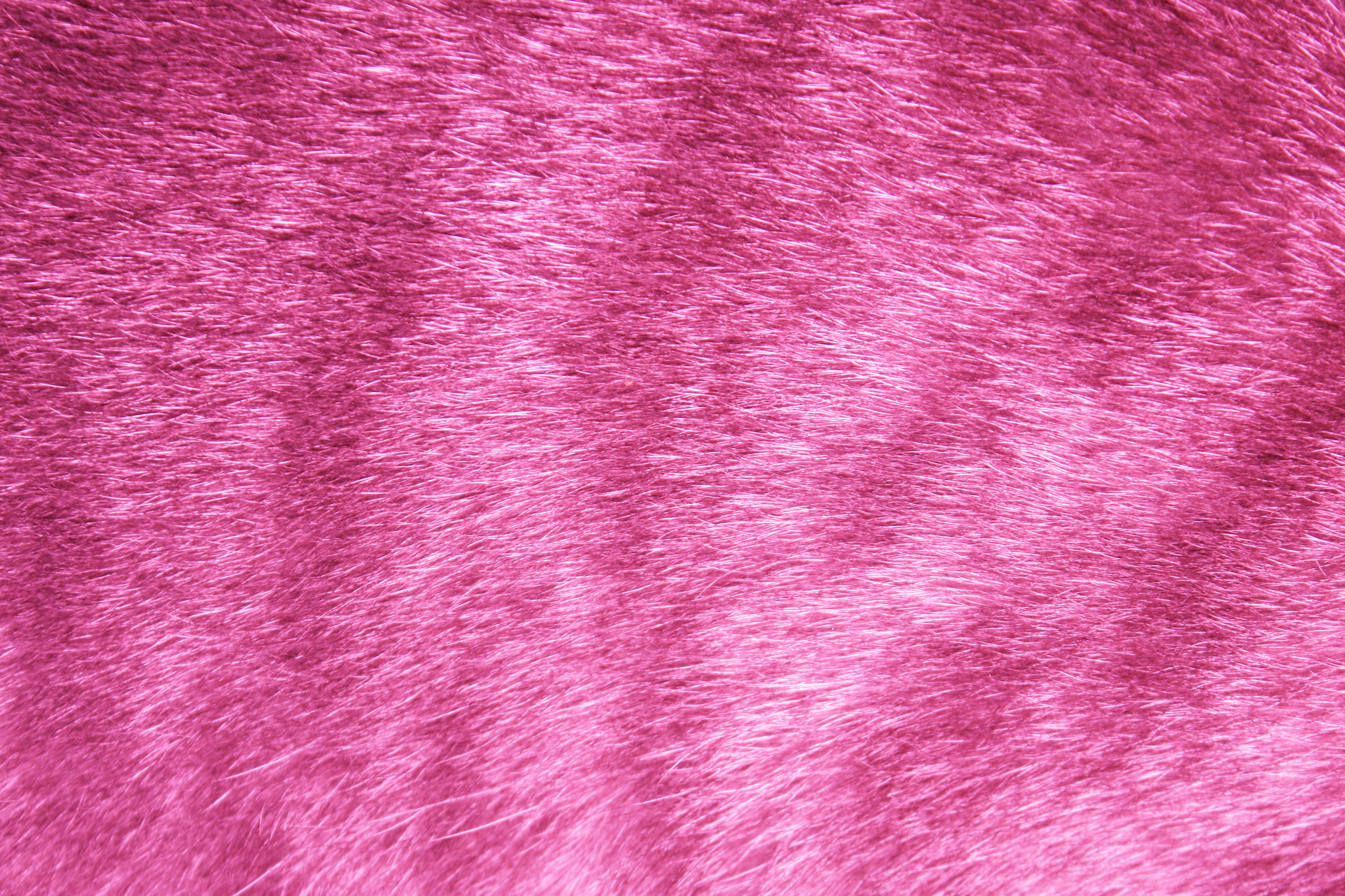 3000x2000, Pink Texture Iphone Wallpaper Top Pink Fur - Pink Fur Texture Background - HD Wallpaper 