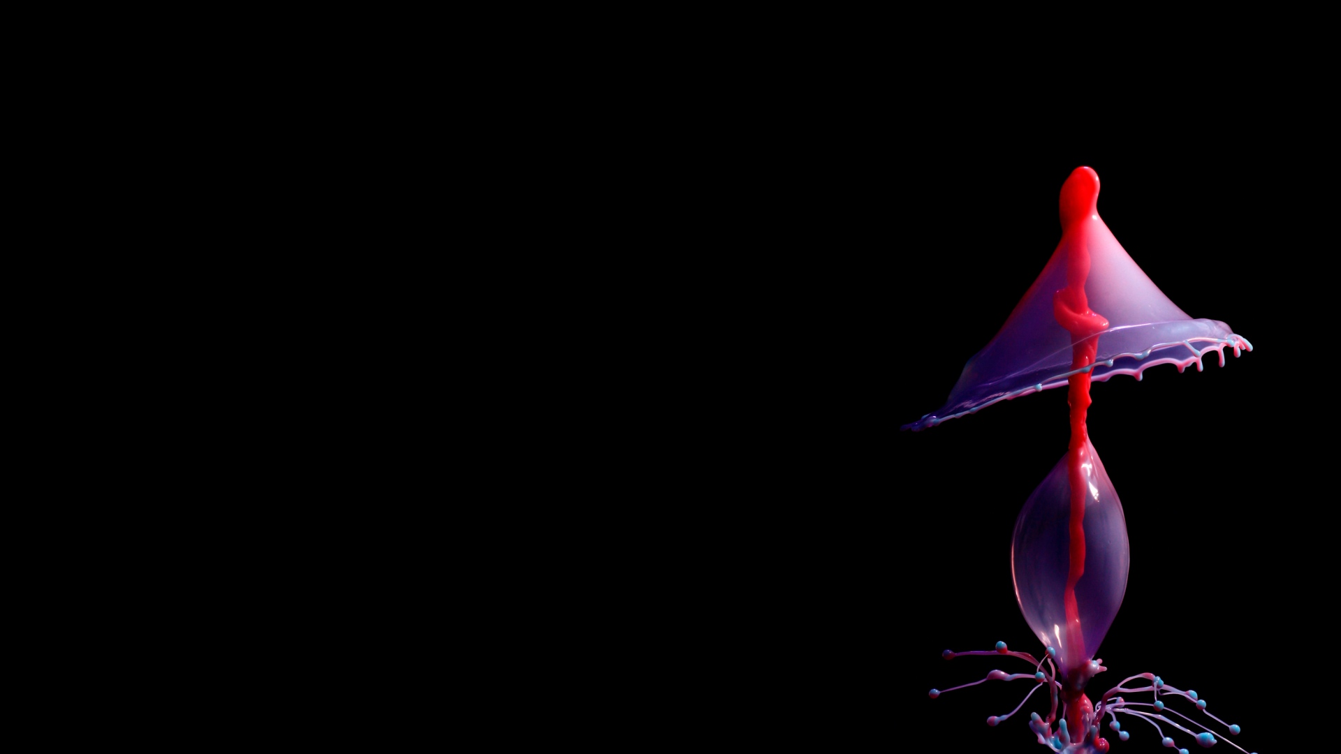Wallpaper Jellyfish Glow Dark - Best Black Background Png - HD Wallpaper 