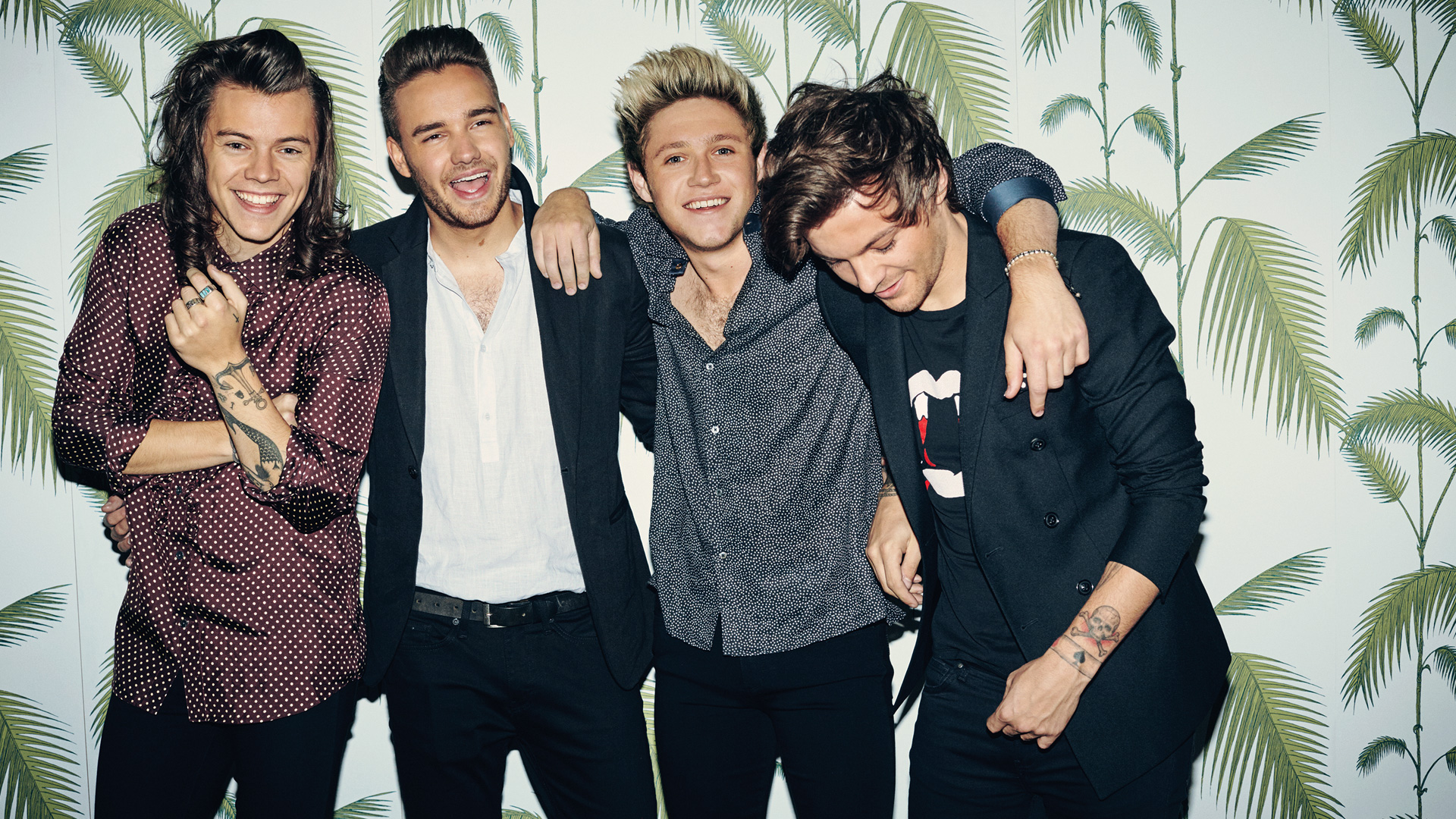 One Direction Drag Me Down Photoshoot - HD Wallpaper 