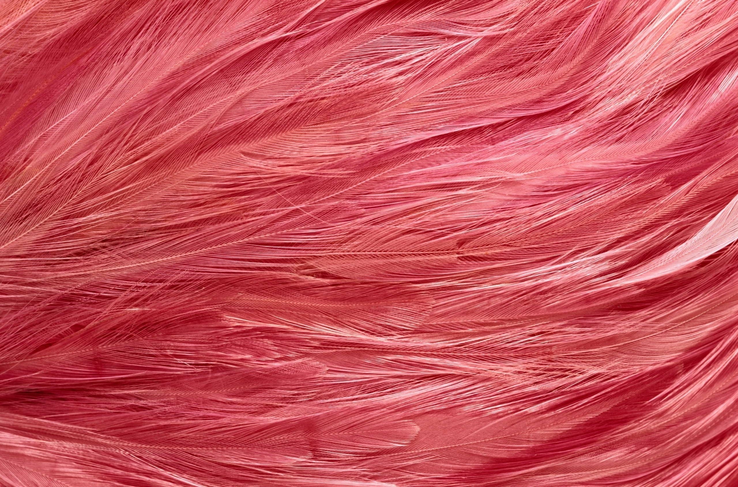 Faux Fur Tail 10 Steps With Pictures Instructablescom - Background Pink Feathers - HD Wallpaper 