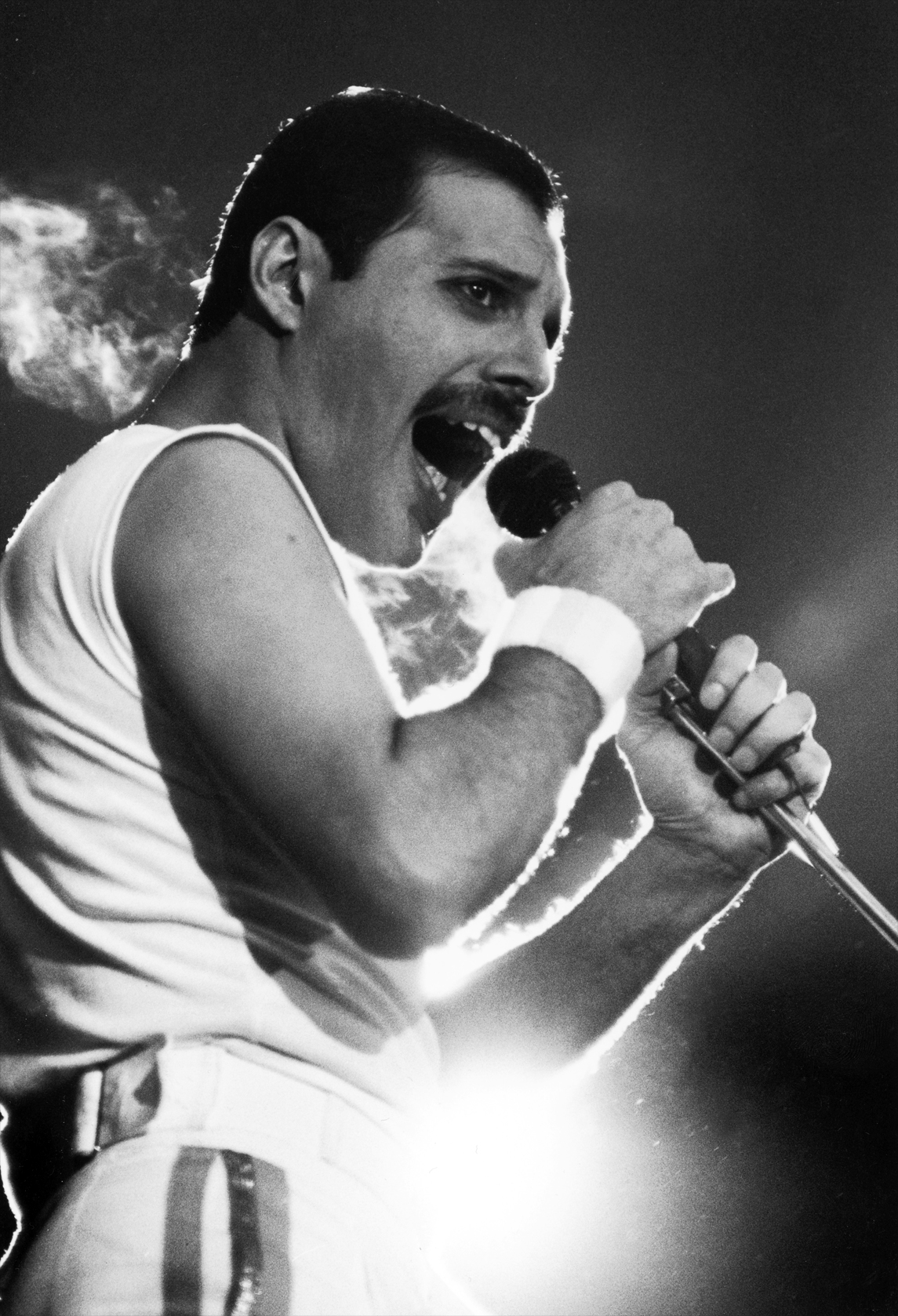 Freddie Mercury - HD Wallpaper 