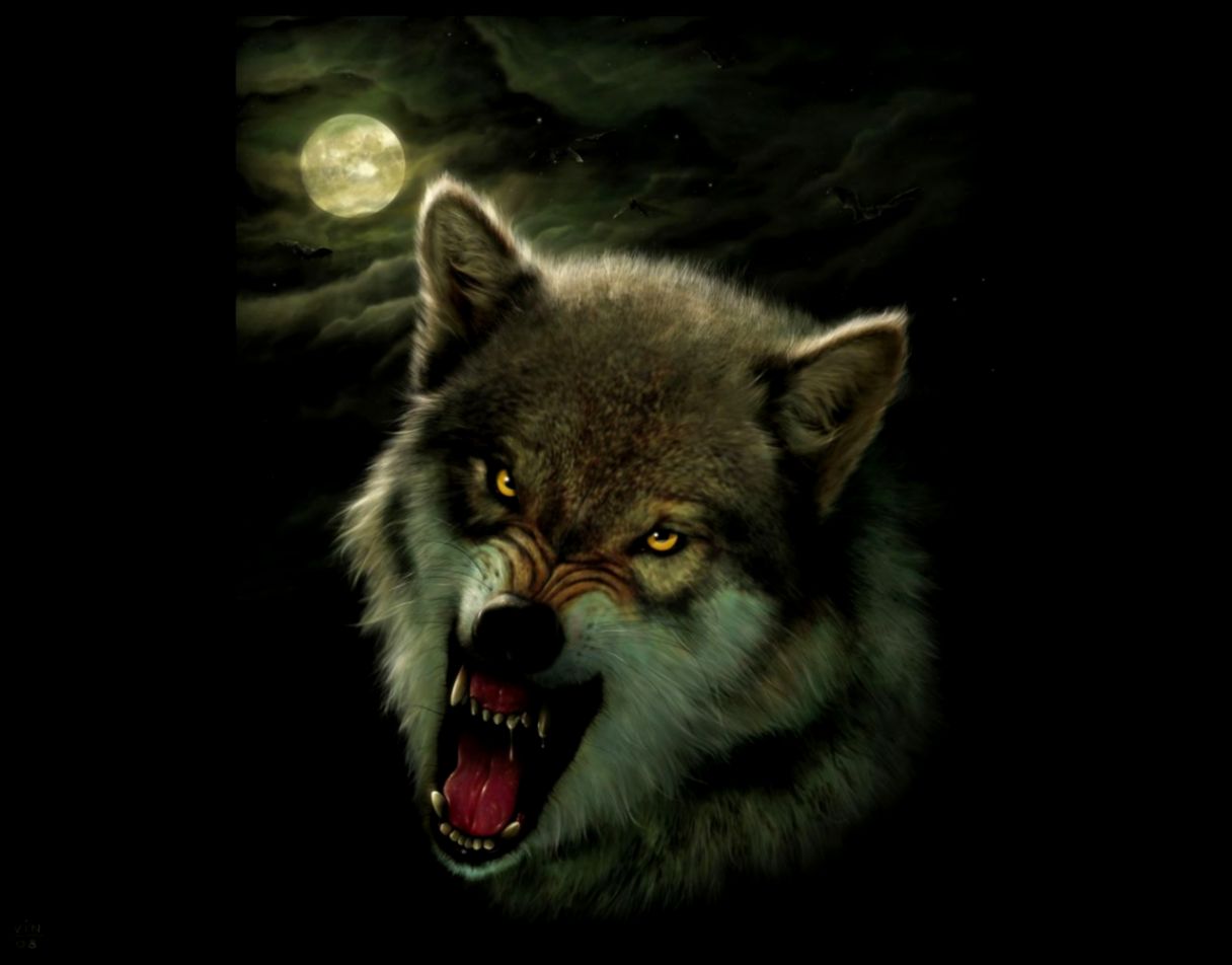 The Best Wallpaper Collection Wolf Wallpaper Hd - Angry Wallpaper Wolf Hd - HD Wallpaper 