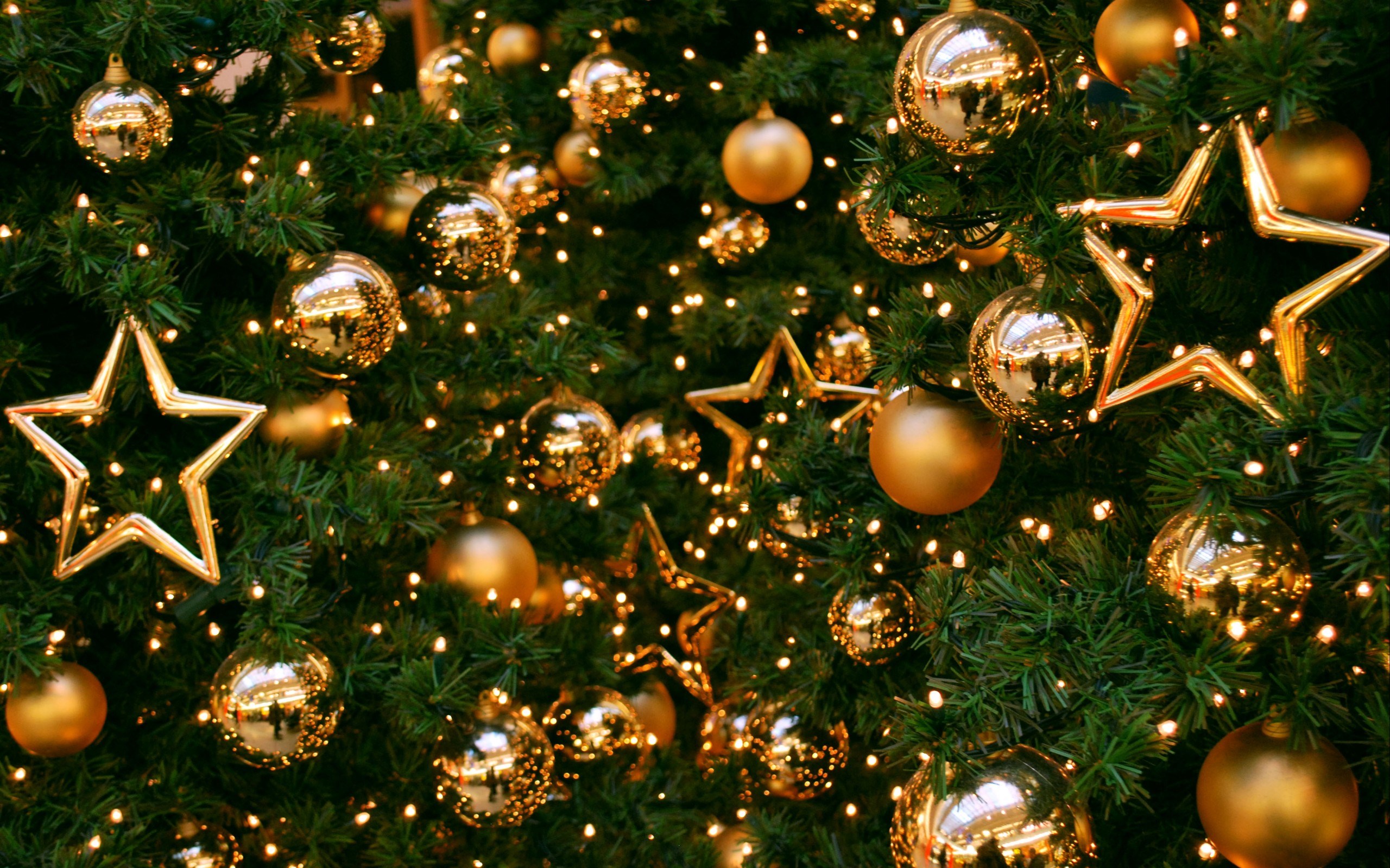 Close Up Christmas Tree - HD Wallpaper 