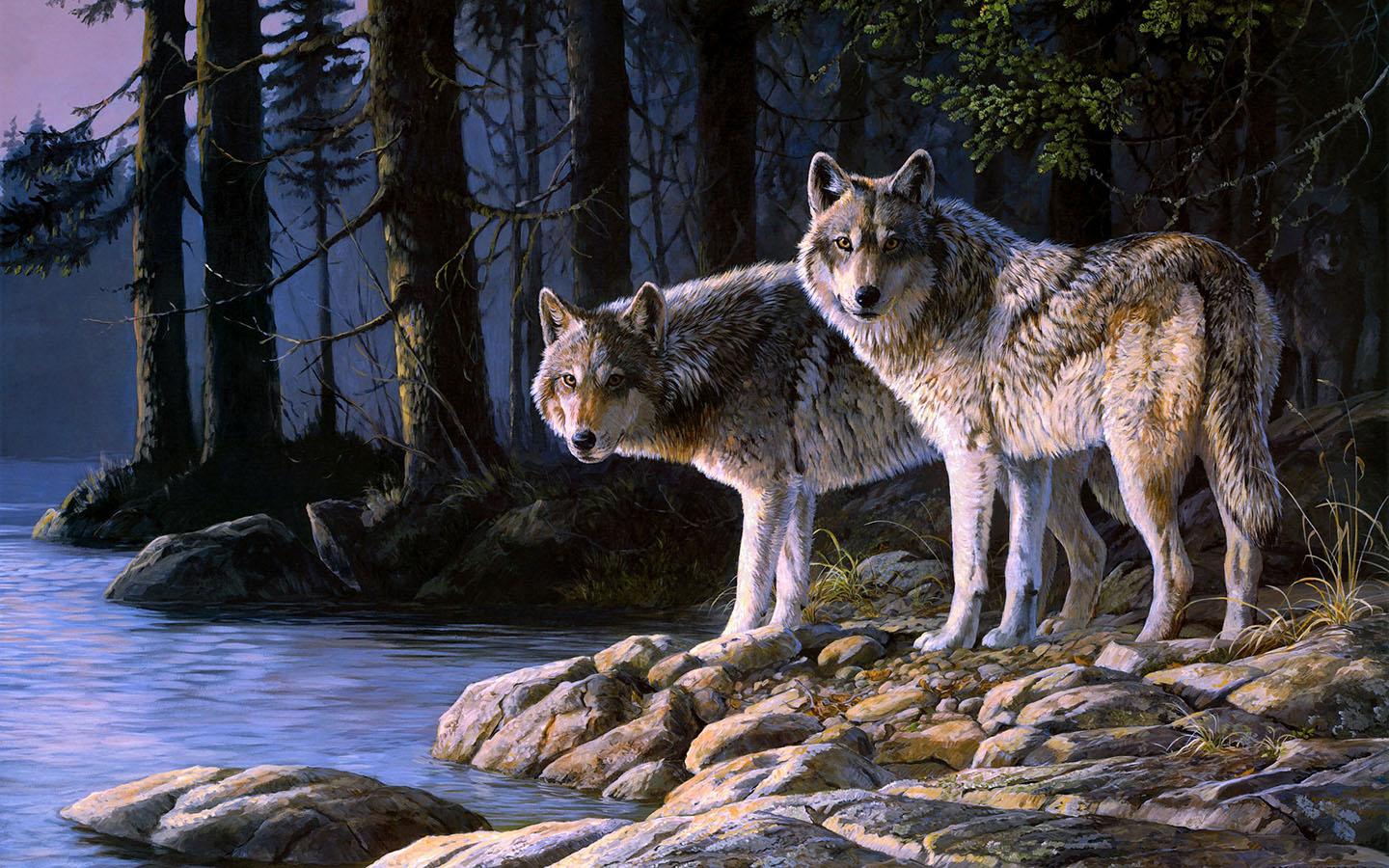 Wolf Wallpapers Desktop Background Is Cool Wallpapers - Wolf Pc Backgrounds - HD Wallpaper 