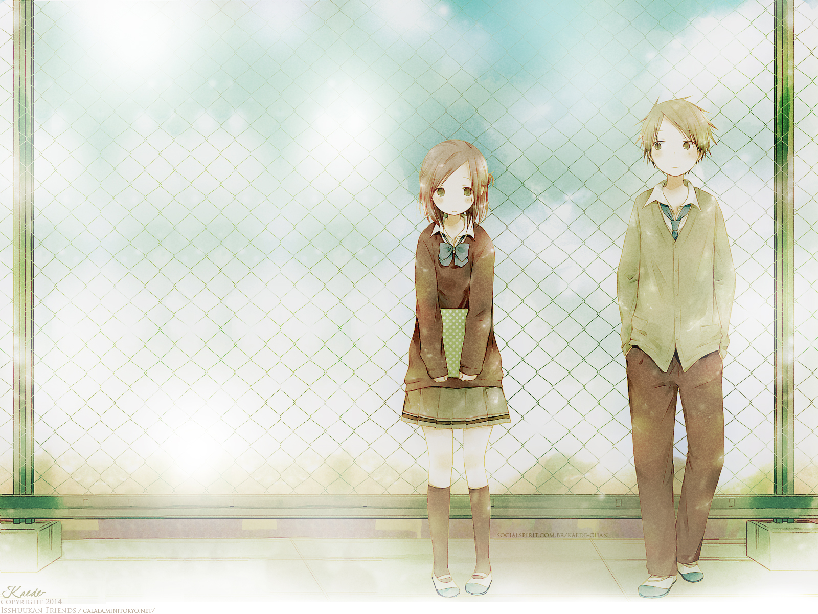 Maccha Hazuki, Isshuukan Friends, Kaori, Yuuki Hase - HD Wallpaper 