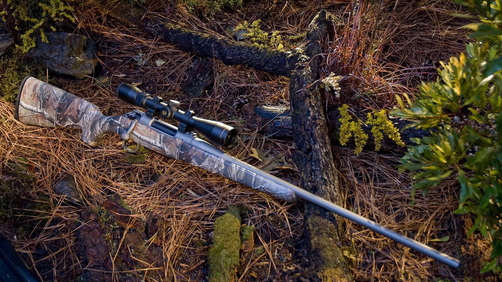 Wallpaper Of Weapons, Gun, Sniper, Rifle Background - HD Wallpaper 