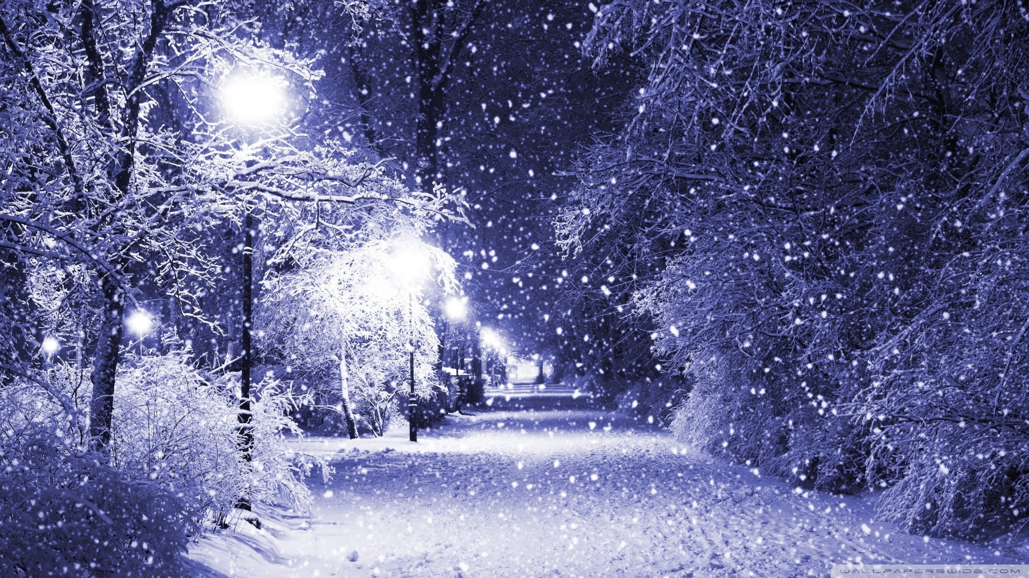 Winter Snow Wallpaper 
 Src Gorgerous Snow Winter Wallpaper - Beautiful Winter Background - HD Wallpaper 