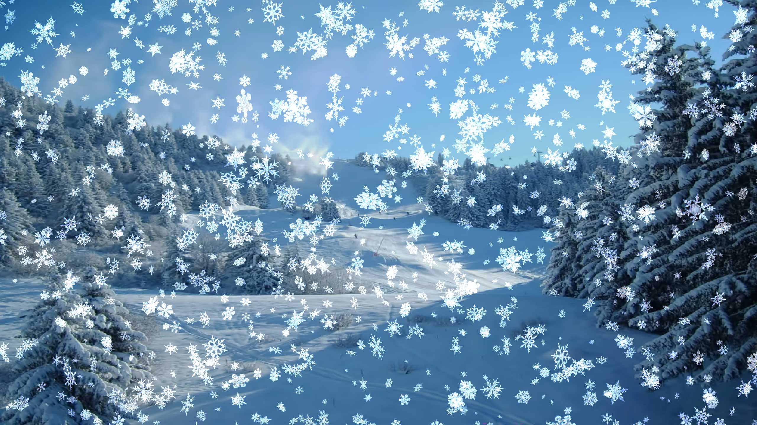Snowy Desktop 3d Screensaver - Animated Snow Falling - HD Wallpaper 