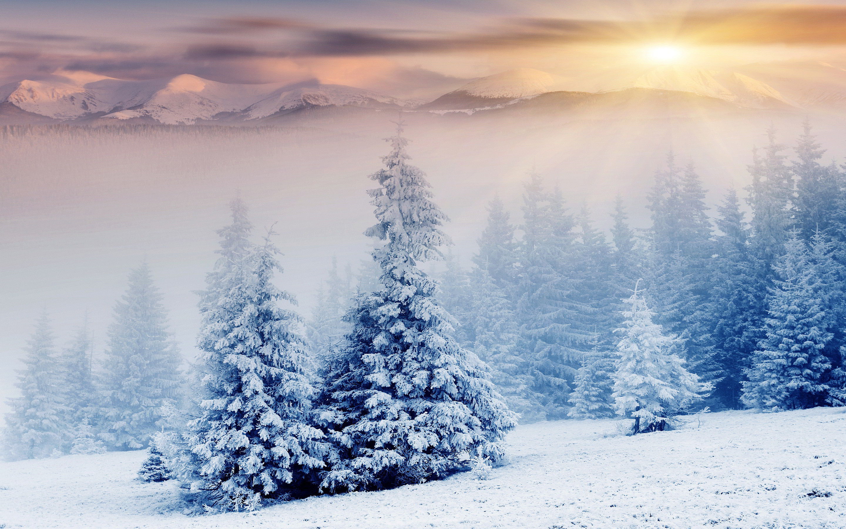 Kar Duvar Kaää±dä± Kä±å Duvar Kaää±dä± Kä±å Kar - Winter Wonderland Background Hd - HD Wallpaper 