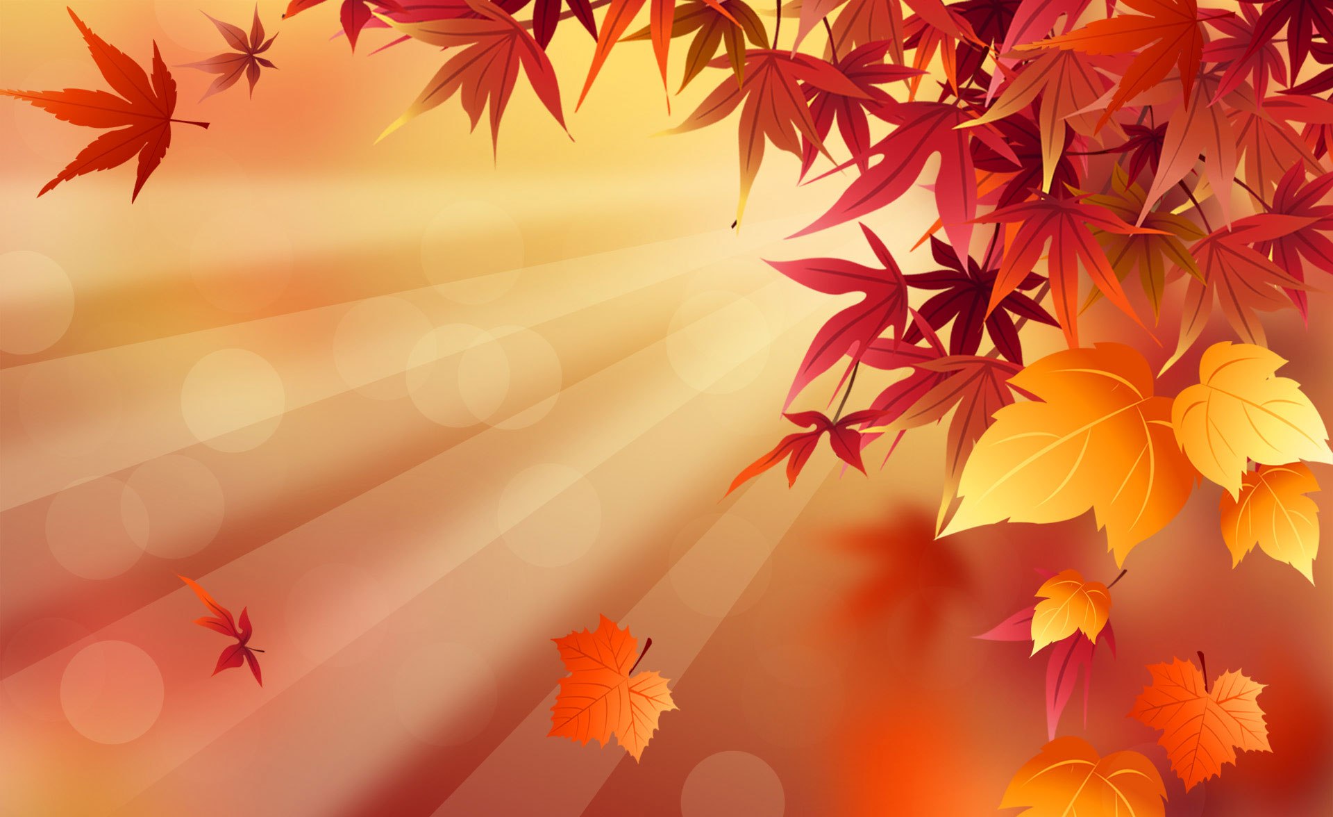 Fall Wallpaper - Fall Wallpaper Hd - HD Wallpaper 