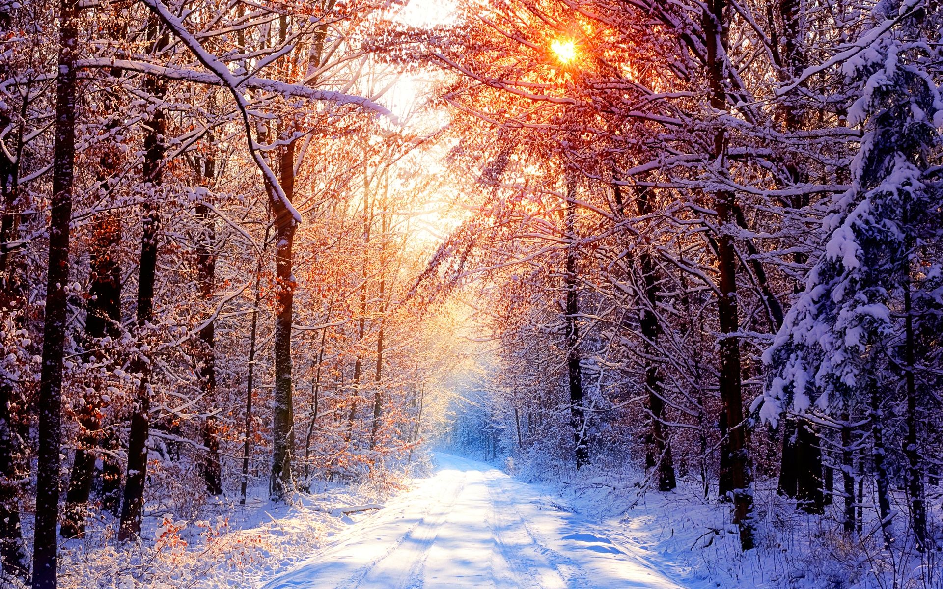 Background Images Nature Winter - HD Wallpaper 