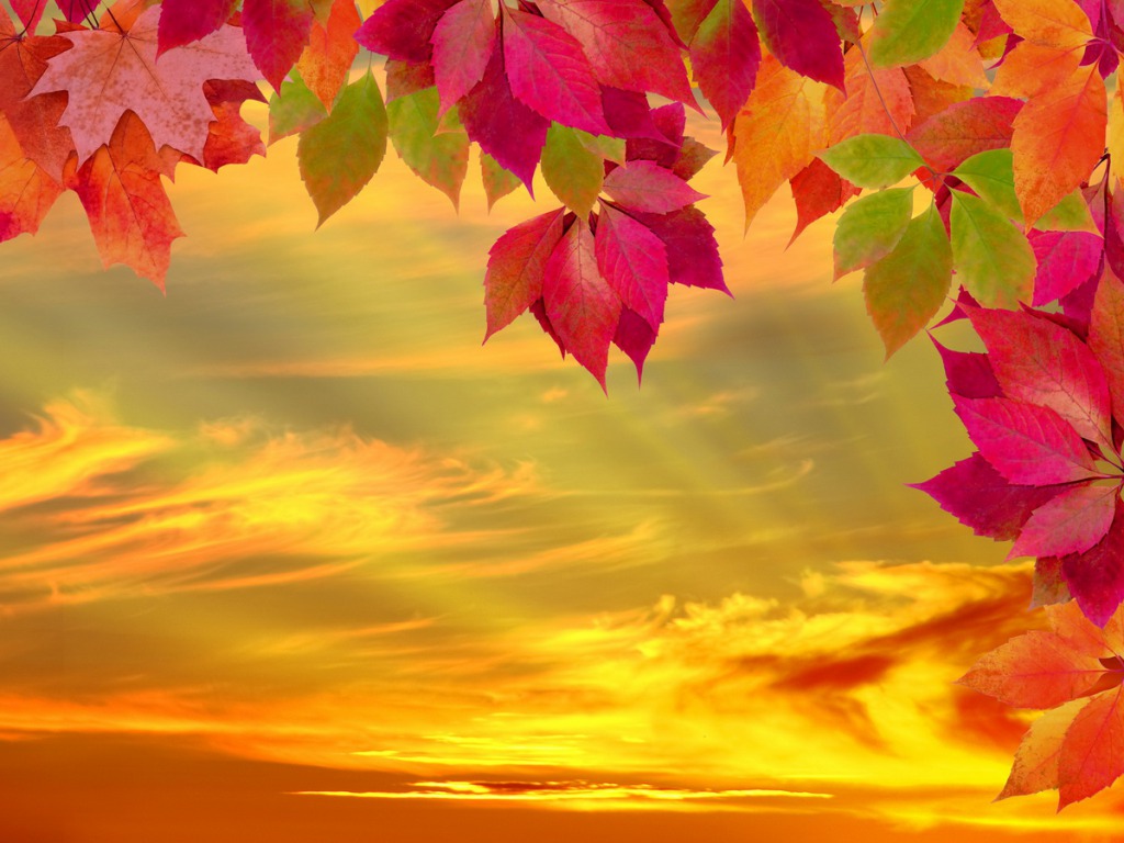 Fall Wallpaper - Autumn Fall Facebook Cover - HD Wallpaper 