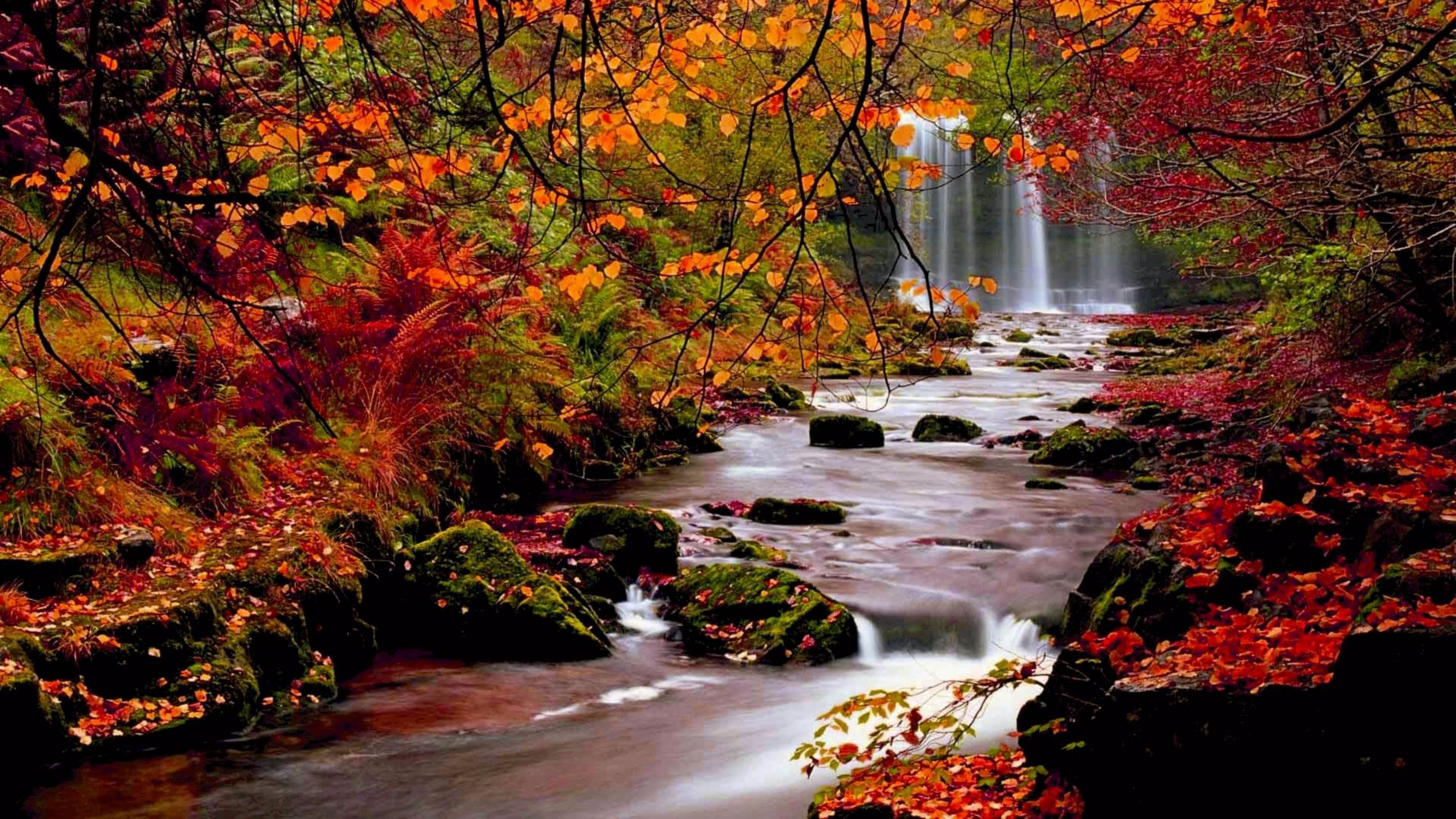 Calm Brook 4k Fall Wallpaper - HD Wallpaper 