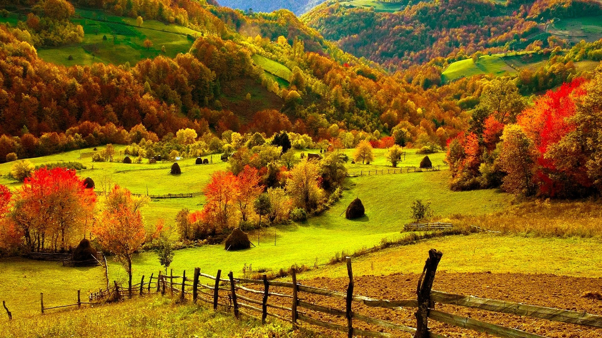 Fall Wallpaper - Fall Scenery Desktop - HD Wallpaper 