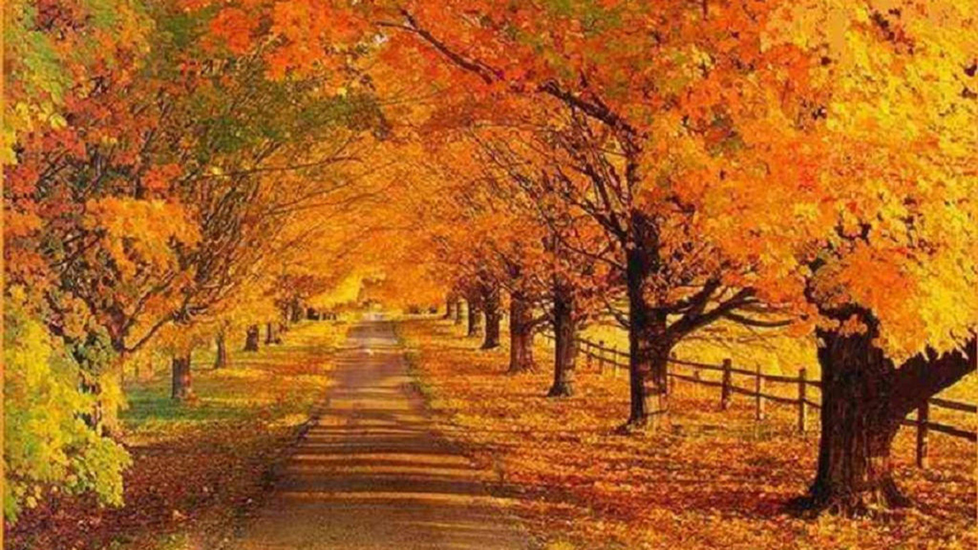 Fall Scenes For Desktop Background Landscape Fall Wallpaper - Fall Scenes - HD Wallpaper 