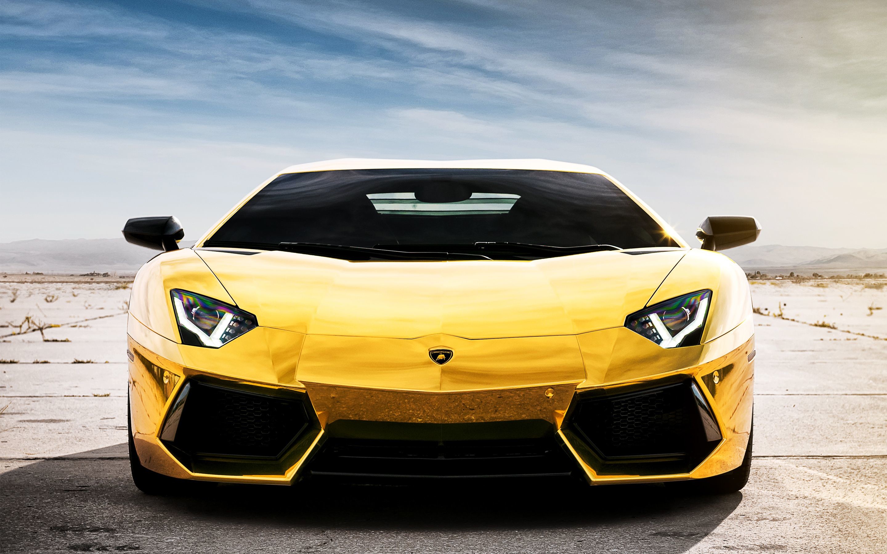 2880x1800, 2015 Lamborghini Aventador Roadster Prestige - Gold Wallpaper Lamborghini - HD Wallpaper 