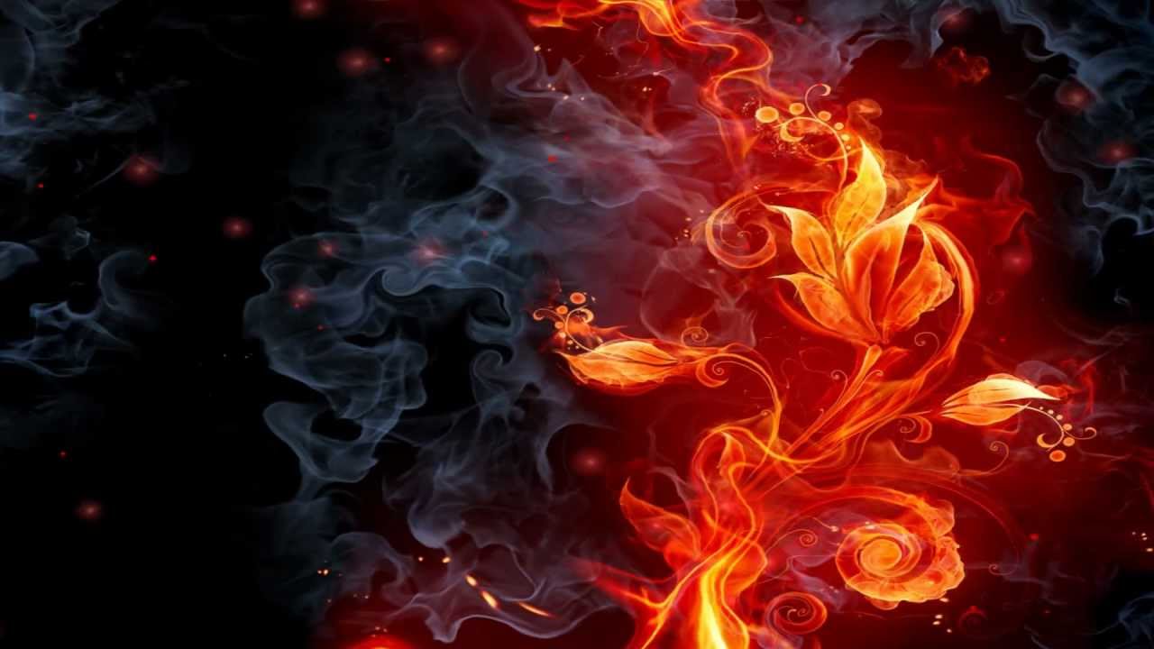 Flower Fire - HD Wallpaper 