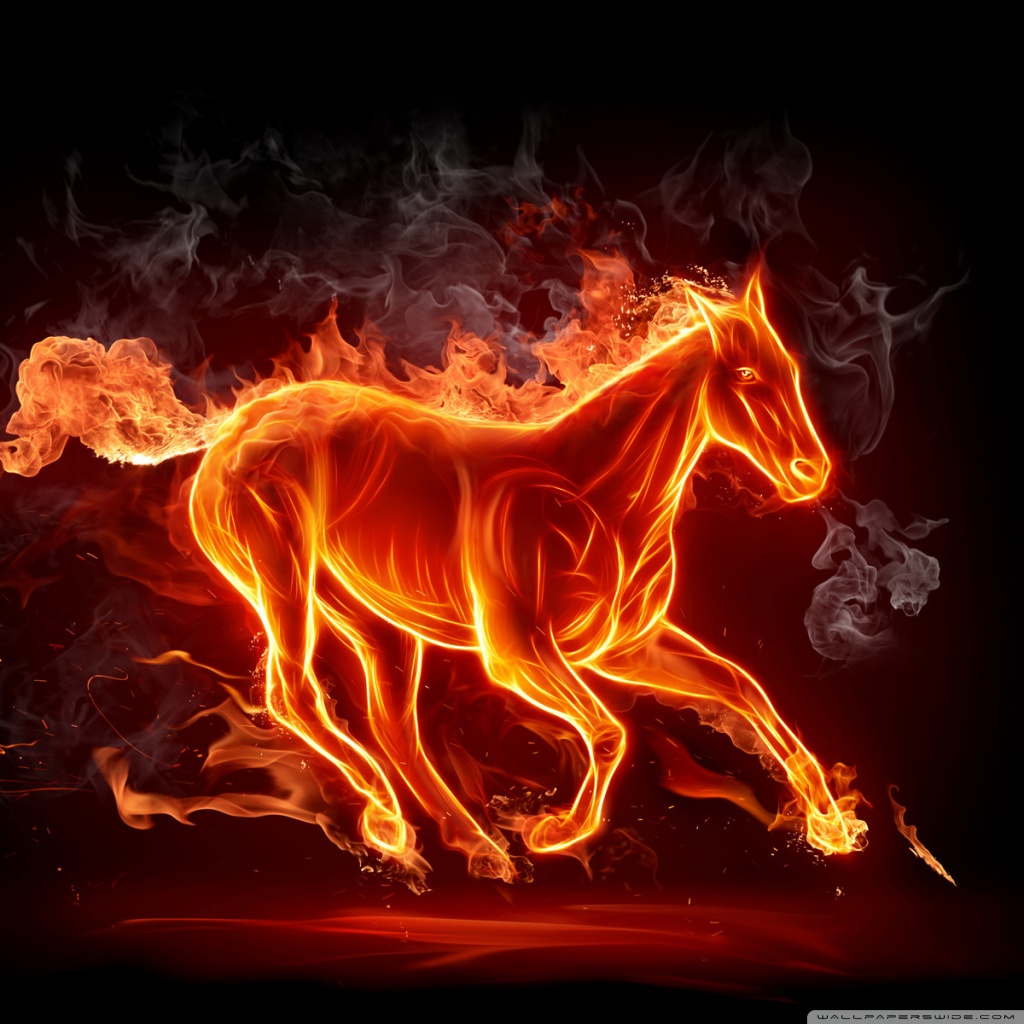 Fire Horse With Wings - HD Wallpaper 