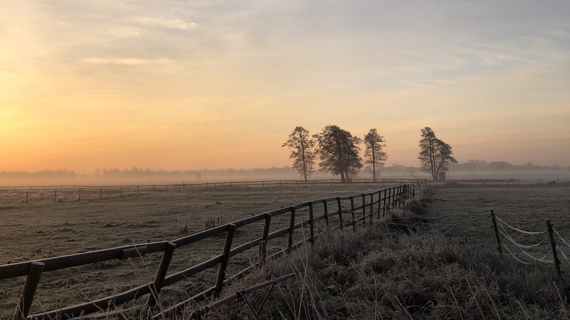 Wallpaper Field, Fog, Sunrise, Horizon, Grass, Fence, - Sunrise - HD Wallpaper 