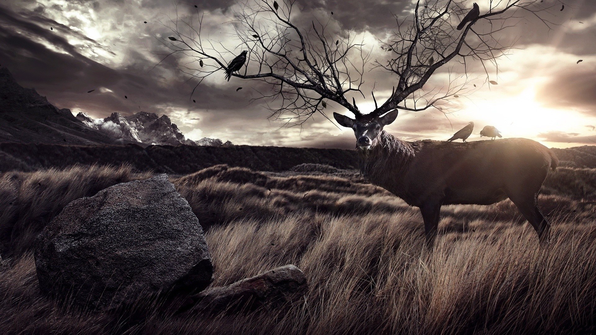Download Free Modern Amazing Elk The Wallpapers - 1920x1080 Wallpaper - Download Free Modern Amazing Elk The Wallpapers - 1920x1080 Wallpaper -