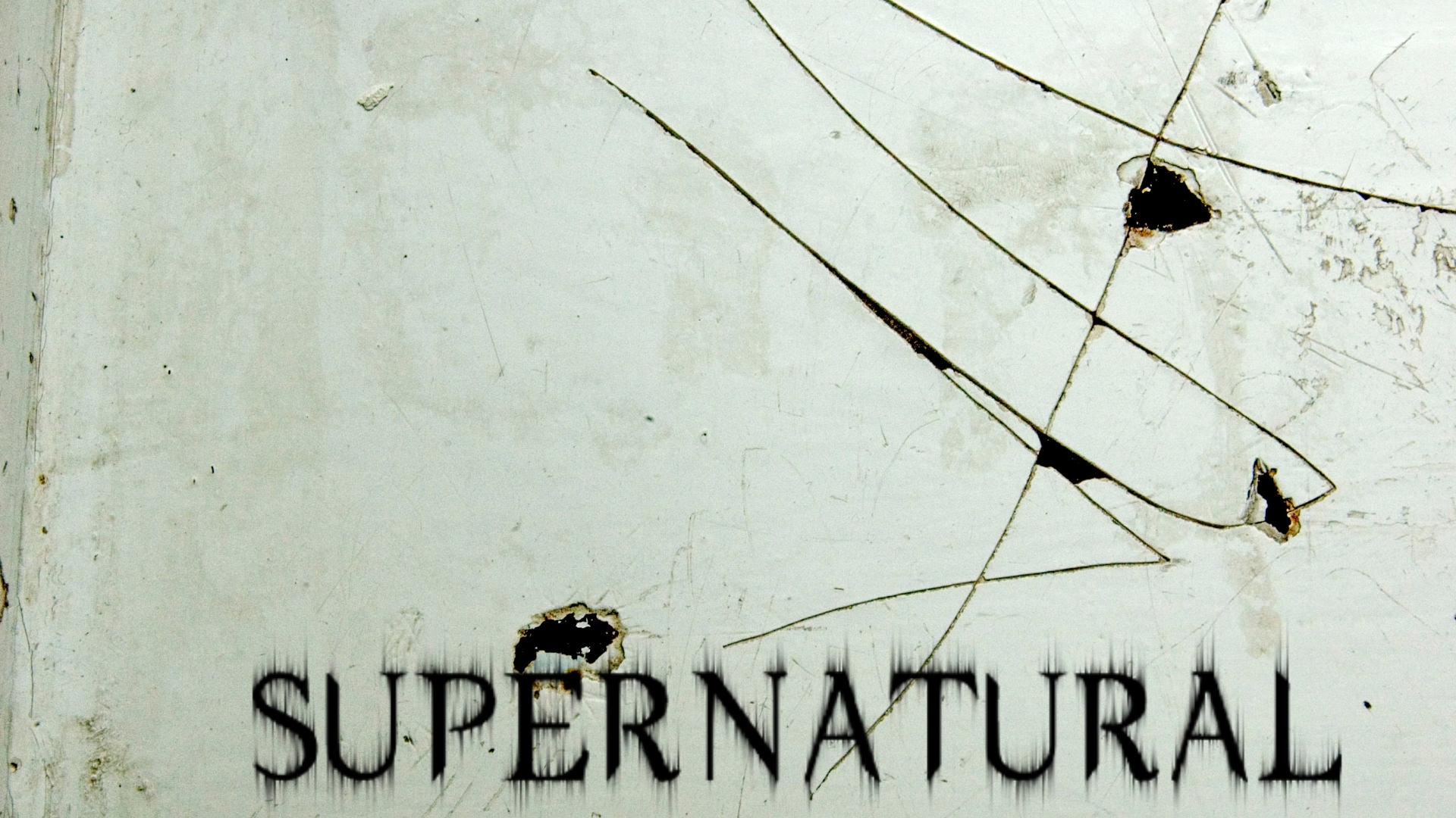 Shrimp - 1920x1080 Wallpaper - teahub.io