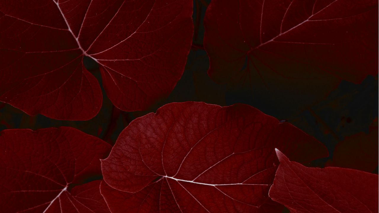 Ipad Pro 4k - HD Wallpaper 