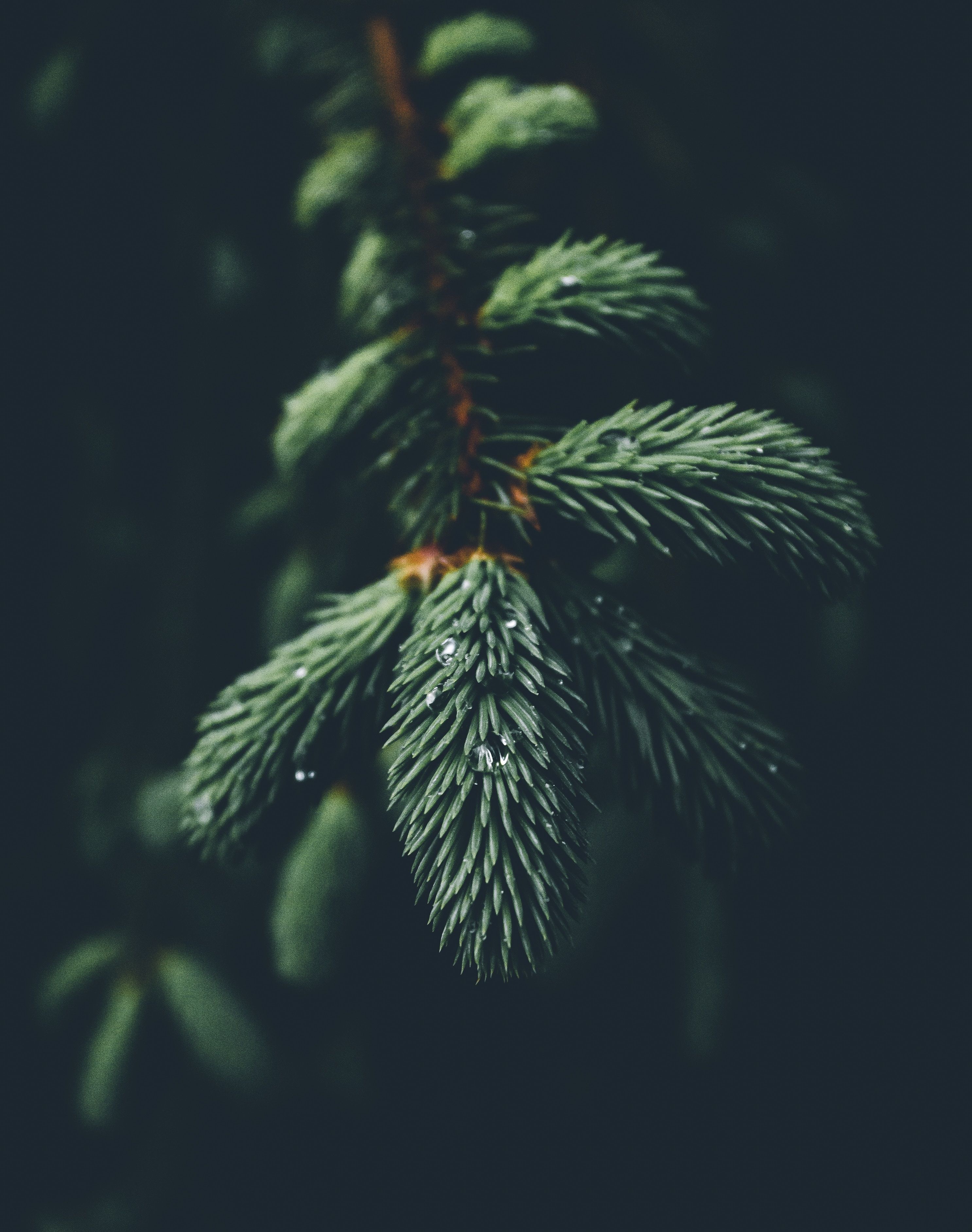 98 Best Iphone Wallpapers And Backgrounds - Best Iphone Wallpapers 2018 - 2972x3768 Wallpaper 98 Best Iphone Wallpapers And Backgrounds - Best Iphone Wallpapers 2018 - 2972x3768 Wallpaper